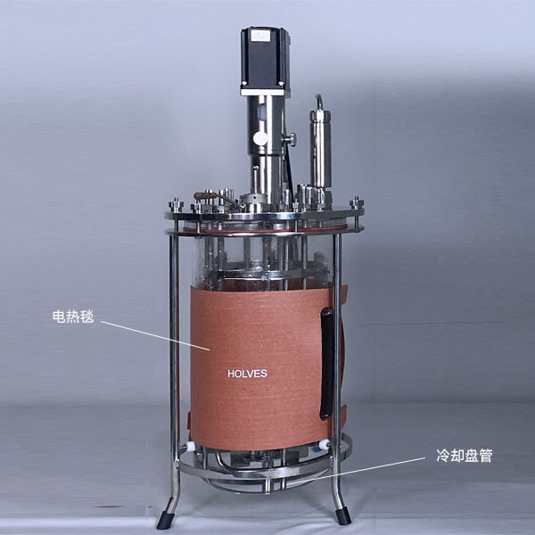 OD电竞(HOLVES)实验发酵罐 OD电竞(HOLVES)实验发酵罐